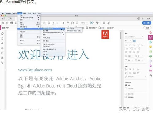 PDF表格制作與Acrobat軟件下載 全面玩轉(zhuǎn)數(shù)據(jù)處理與存儲支持服務(wù)